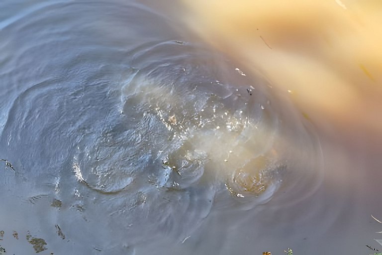 Cabana Renascer - Refúgio em Condomínio